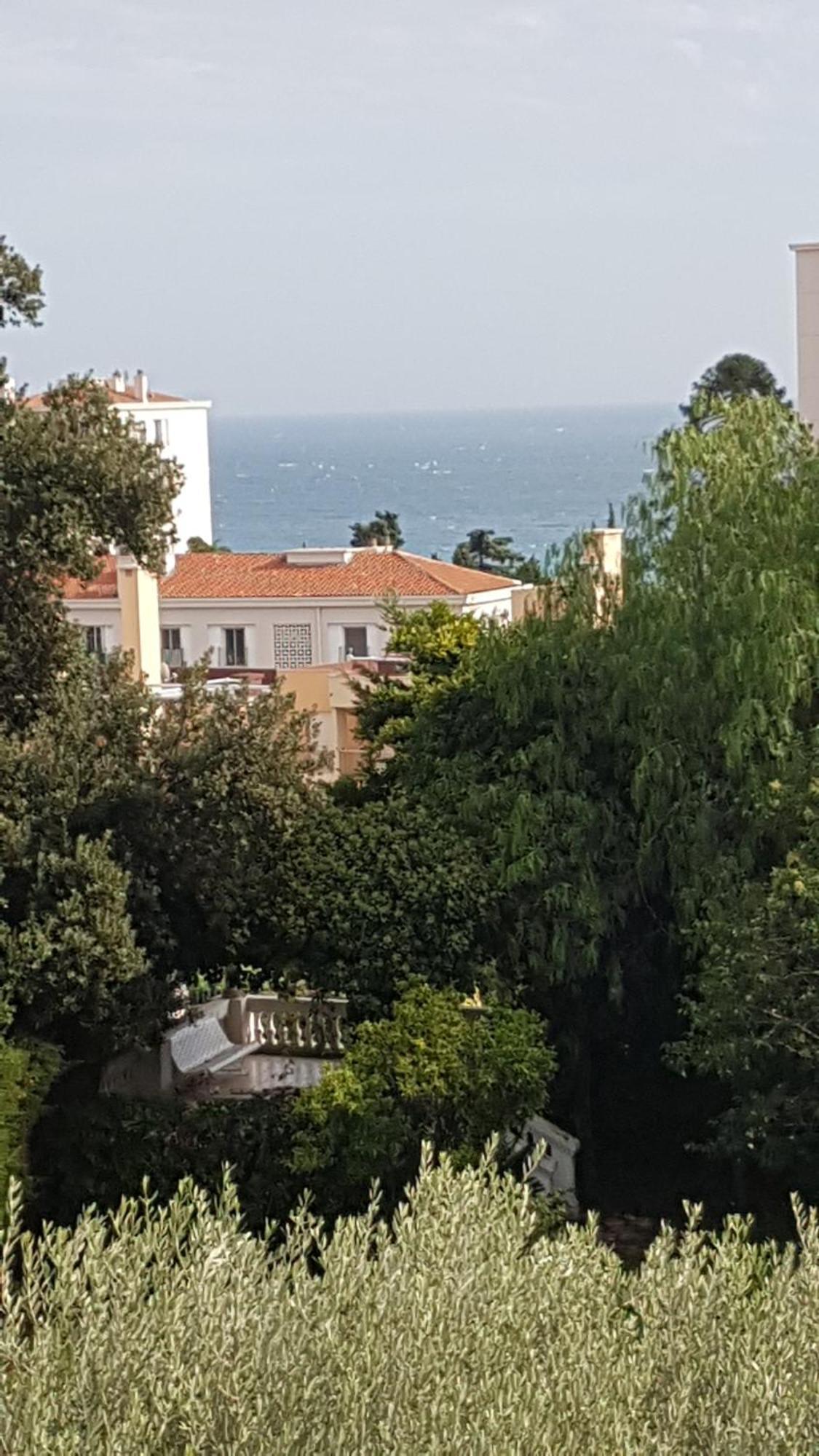 Les Palmiers A 700M De La Mer Nice Værelse billede