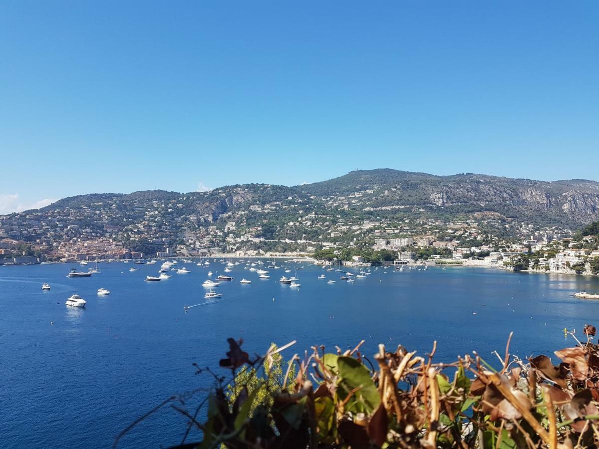Les Palmiers A 700M De La Mer Nice Eksteriør billede