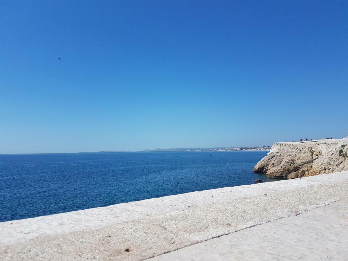Les Palmiers A 700M De La Mer Nice Eksteriør billede
