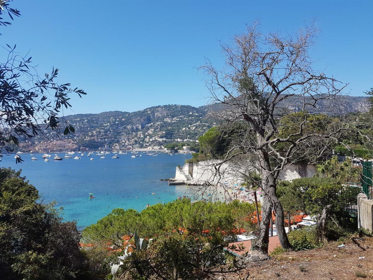 Les Palmiers A 700M De La Mer Nice Eksteriør billede